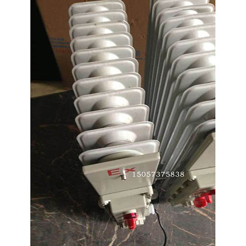 BDR51-13防爆油汀3KW